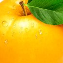 최참판댁소형주차장 이미지