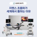 글로벌 송림 이미지