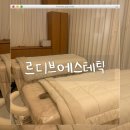 르디브 | 평택에스테틱 - 르디브에스테틱에서 윤곽 하이푸 리프팅 후기☘️