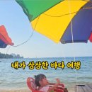 바다이야기 | 동해 어달해변포차 추천! 아이와 반려견과 함께한 ‘어달 바다이야기’ 낭만 가득 후기