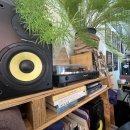 감성커피상봉점 | 상봉역 분위기 좋은 감성카페 허밍버드 후기