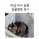 늘봄 그루밍 | 내돈내산 심장사상충약 하남 미사 동물병원 진료 후기