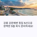 강릉 강문해변 횟집 리스트! 5월 회식 장소로 딱 좋은 인기 맛집 5선
