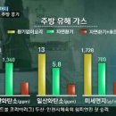 뉴랜드 알로에 이미지
