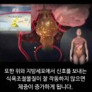 유일정비