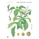 동춘1동행정복지센터 이미지