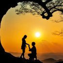 사랑나무 이미지