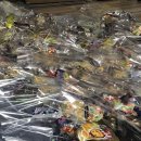 우석대 라이온 태권도 이미지