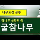 굴참나무, 상수리나무, 떡갈나무, 밤나무 구별법 이미지