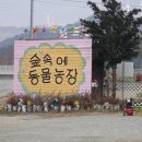 뉴탐진팜 | 겨울에 더 좋은 강원도 가볼만한곳 6곳 여행
