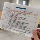 처인구보건소 | 역북동 처인구 보건소 /임신 준비전 필수 풍진검사받으러 가는 길 후기 🙏