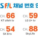 📣📣📣 오늘 저녁 7시✔️[더트롯쇼] 본방사수 👉 채널 참고 이미지