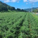 진흥 부동산중개사무소 이미지