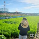 파주광탄경기-파주-광탄4 이미지