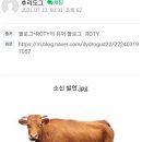 샴푸나라