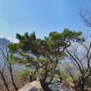 흙과소나무 네이버블로그