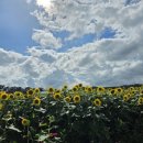 연천 호로고루 이미지