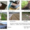 바우골 이미지