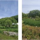 가래울천 이미지