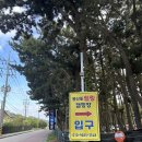 태안 몽산포힐링캠핑장 A4 F15 사이트 후기