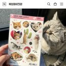 북성로사진관 이미지