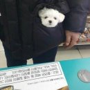 CU중화제일점 | [CU편의점 단독] 찐또가 직접 먹어본 편의점 제품 솔직후기 대공개! (내돈내산)