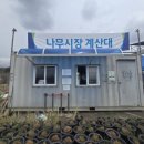 산림조합 앞 | ​🌳 초록으로 물든 원주 SJ 산림조합 나무시장 방문기