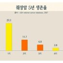 암중모색/췌장암의 치료와 재발 예방에 관하여 이미지