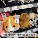 마한주유소