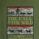 The Call of the Wild 이미지