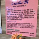 에스텔라엠 이미지