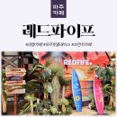 멍고 | [파주카페] 파주 핫플.ᐟ 대형 감성카페 레드파이프 방문 후기 ෆ