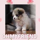 오마이프렌즈