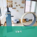 냥놀자 네이버블로그