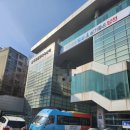 목동문화체육센터 | 목동문화 체육센터 자유수영 후기