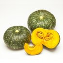 신선팜