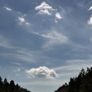 서호카프라자 | [퇴사여행] 제주여행 16일차(2) - 녹산로 유채꽃도로/서귀포 올레시장/대정읍 돌고래/원담 (2024.03.21)