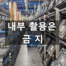 무지성으로 지원했다가 피 본 쿠팡 캠프 물류센터 후기 (결국 컬리로 갈아탐)