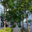 [부천] 살롱하이 l 5단계 모발 클리닉 받은 후기 l 클리닉 잘하는 부천중동미용실