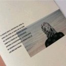 디자인레전드 이미지