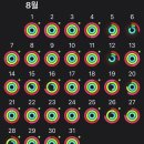 클럽컬리넌 | [이수역 헬스장 추천] 이수역 클럽컬리넌 (이수역 피티, 헬스장, PT, 내돈내산)