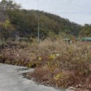 (주)일성케미칼 이미지