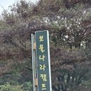 보물나라캠프 이미지