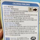 카밍캣 고양이미용 이미지