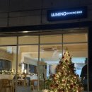 루미노 | 논현와인바 루미노는 너무 맛있엉.. 일주일에 2번방문한 후기(1)