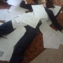 HI, MY DOG 이미지