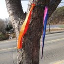 원죽마을회관 이미지