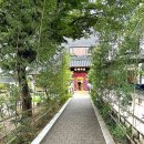 한채당베이커리 | 🍰하남 미사 디저트카페 한채당 | 식사 후 여유롭게 즐기는 감성 베이커리카페 (내돈내산 후기)