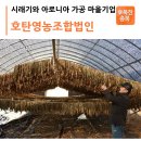 호탄 영농조합법인 이미지