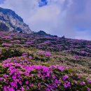 황금무지개산악회10주년 이미지